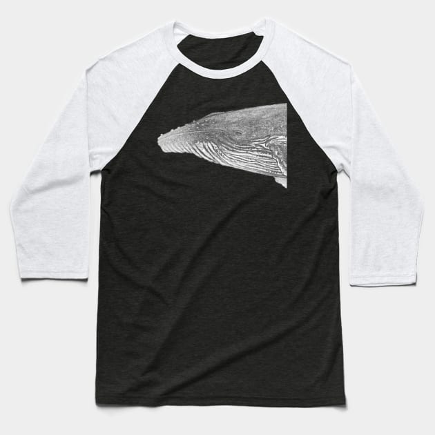 Humpback whale portrait for whale lovers Baseball T-Shirt by chloeyzoard